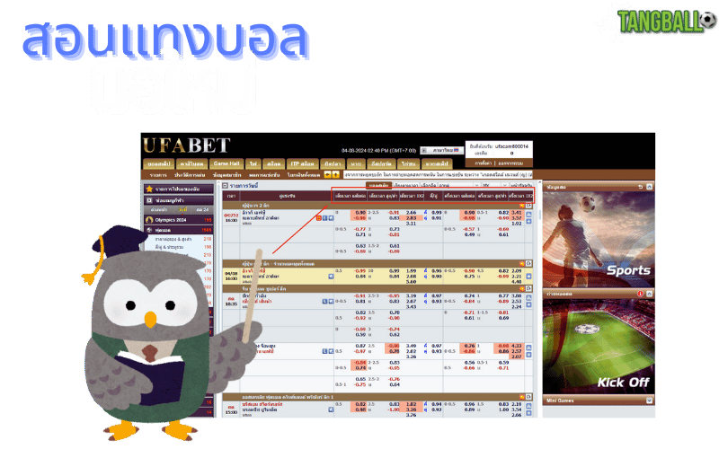 สอนแทงบอล มือใหม่